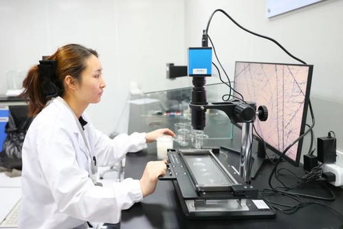 最美生产线 走进中纺联检上海，探索检验技术服务的卓越之旅